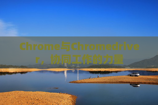 Chrome与Chromedriver,协同工作的力量 Chrome与Chromedriver,协同工作的力量
